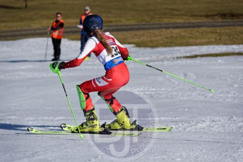 bjt11348 DxO