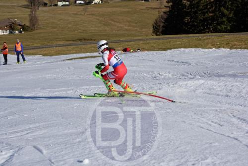 bjt11365 DxO