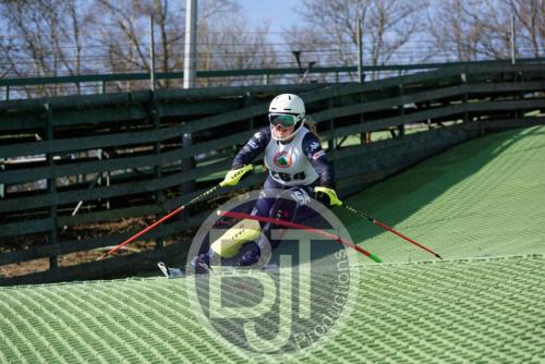 BJT 1432dxo