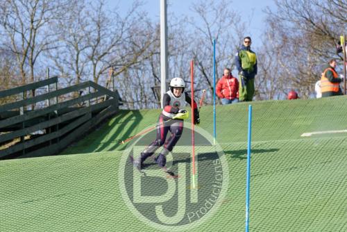 BJT 1438dxo