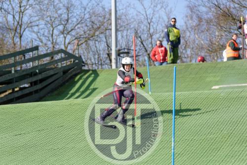 BJT 1439dxo