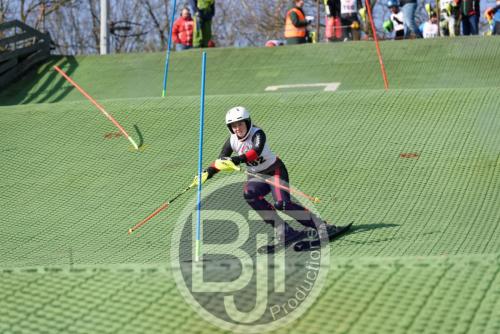 BJT 1440dxo