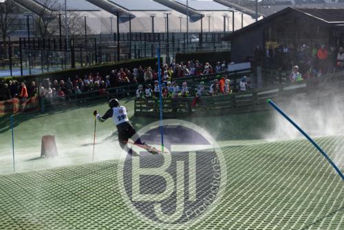 BJT 1458dxo