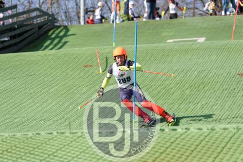 BJT 1467dxo