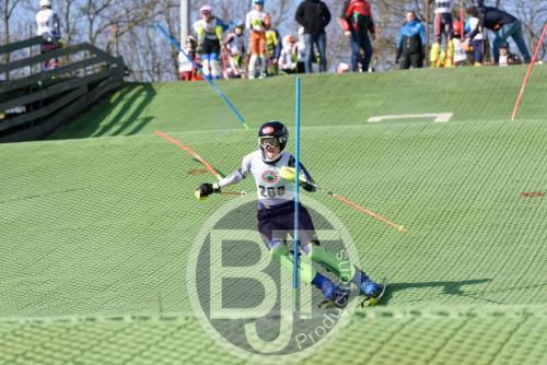 BJT 1478dxo