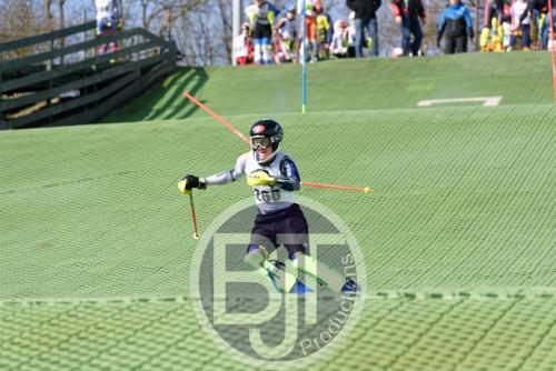 BJT 1479dxo