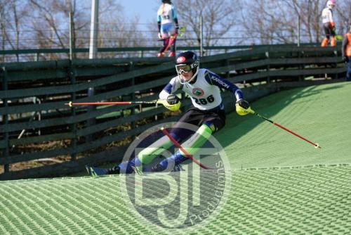BJT 1481dxo
