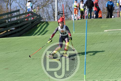 BJT 1483dxo