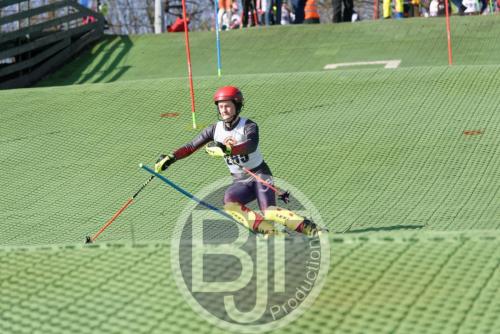BJT 1484dxo