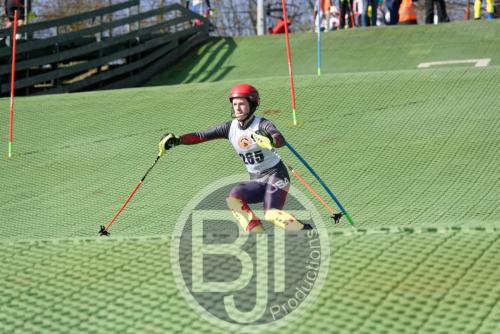 BJT 1485dxo