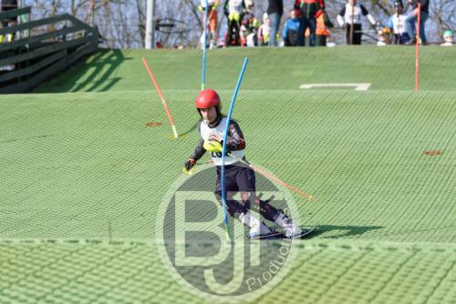 BJT 1495dxo