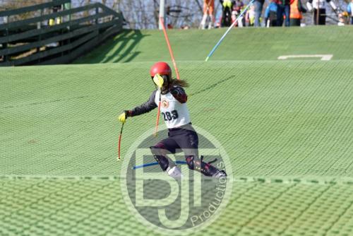 BJT 1496dxo