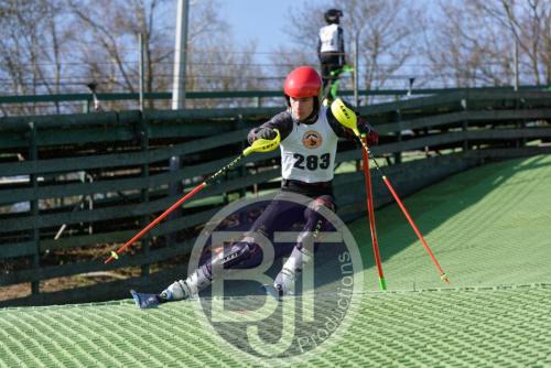 BJT 1498dxo