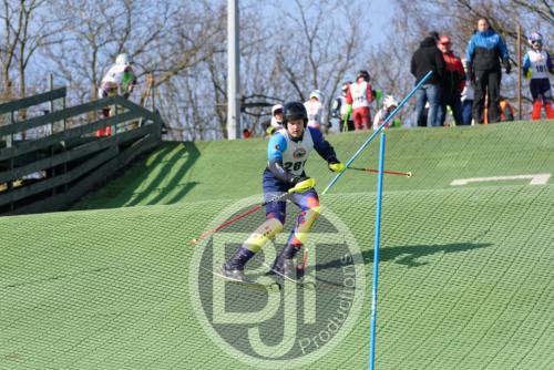 BJT 1504dxo