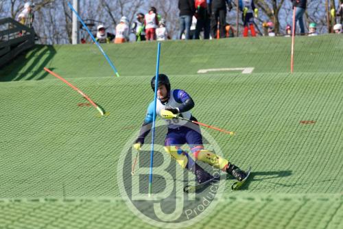 BJT 1506dxo