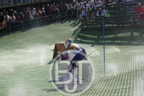 BJT 1529dxo