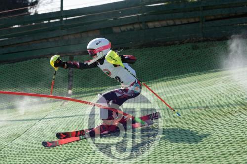 BJT 1530dxo