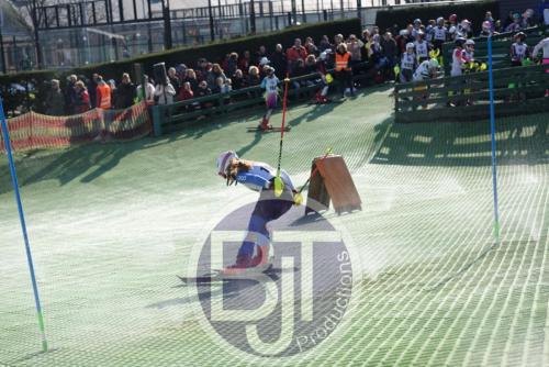 BJT 1543dxo