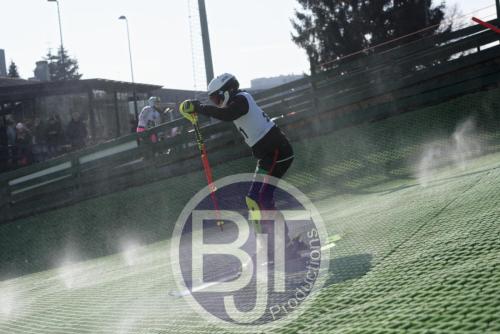 BJT 1545dxo