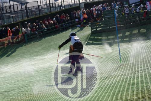 BJT 1548dxo
