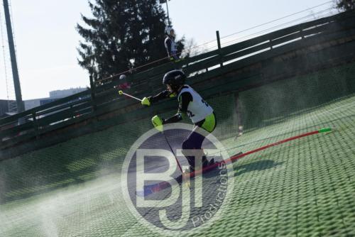 BJT 1549dxo