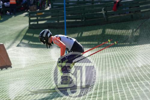 BJT 1574dxo