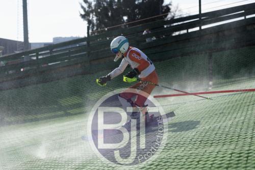 BJT 1577dxo