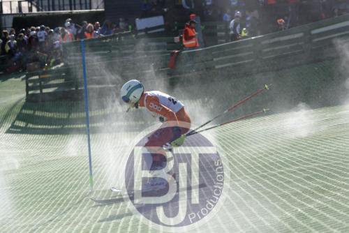 BJT 1580dxo