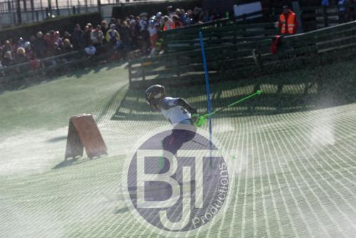BJT 1586dxo