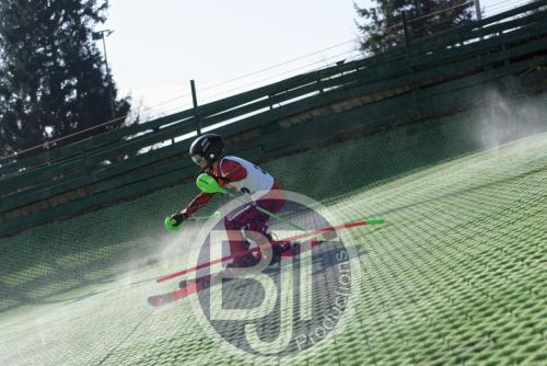 BJT 1603dxo