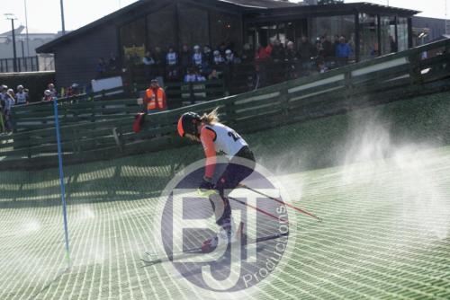 BJT 1625dxo