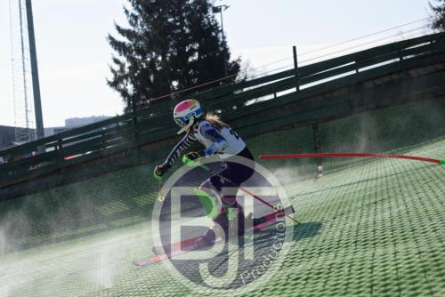 BJT 1637dxo