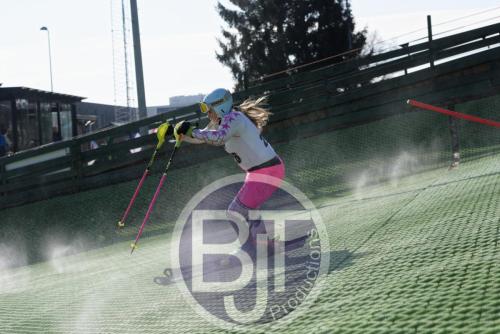 BJT 1646dxo