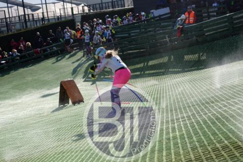 BJT 1649dxo