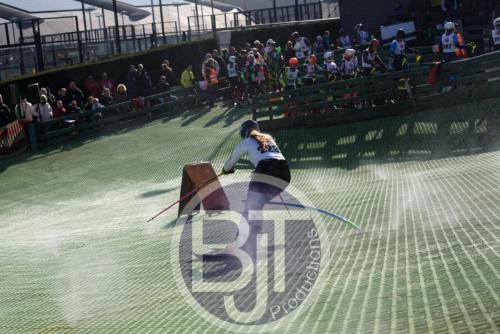 BJT 1659dxo