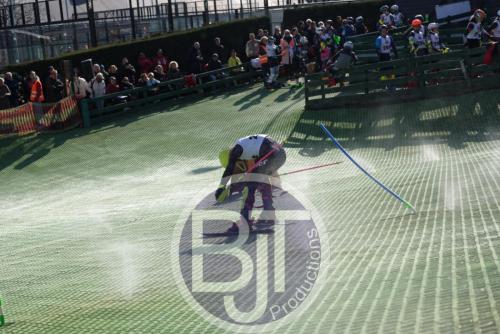 BJT 1673dxo
