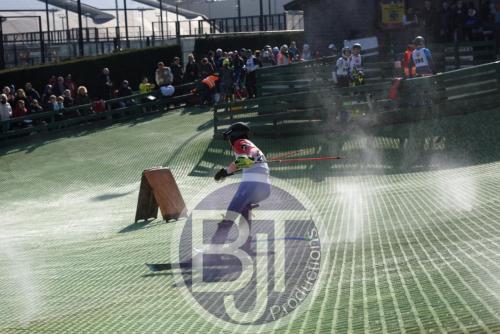 BJT 1681dxo