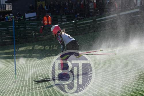 BJT 1729dxo