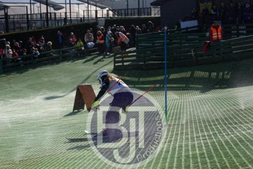 BJT 1742dxo