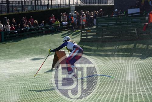 BJT 1757dxo