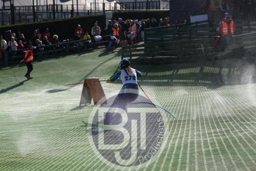 BJT 1774dxo