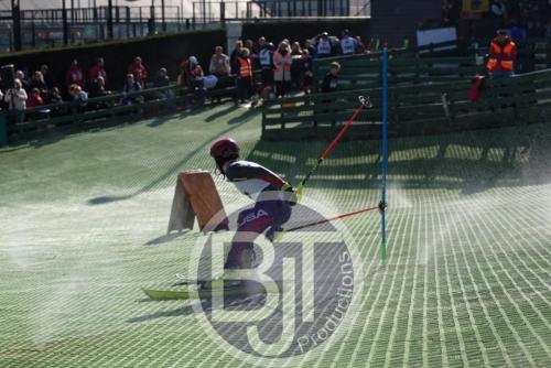 BJT 1799dxo